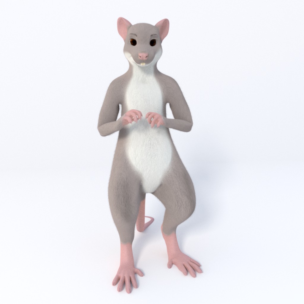 Mouse model preview image 1