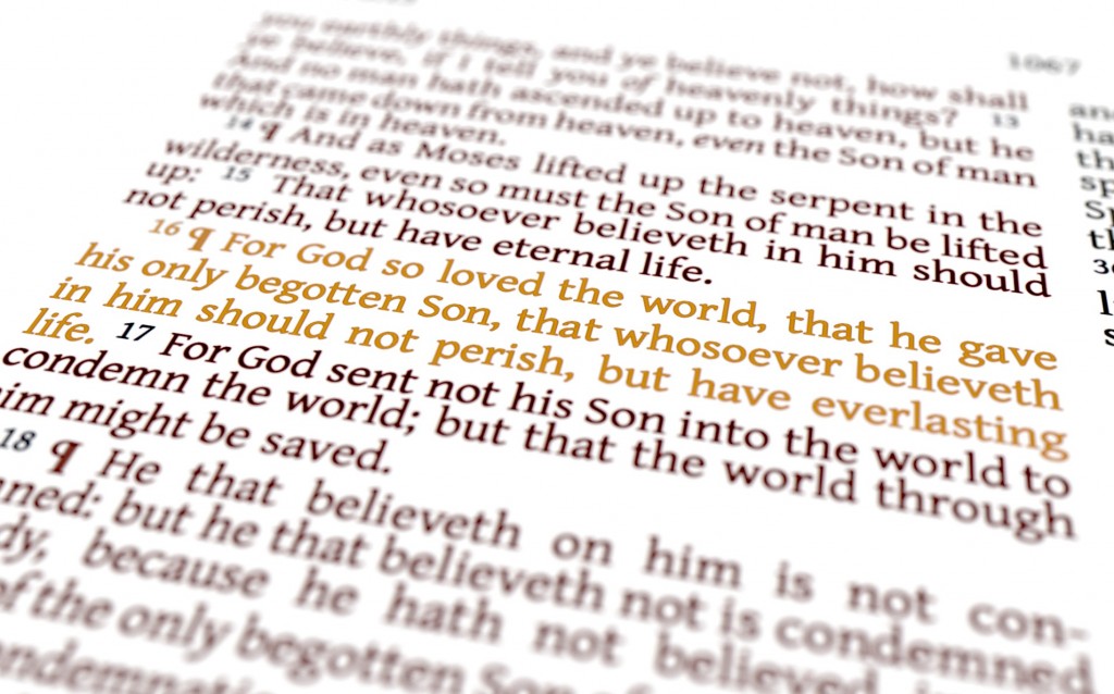 John 3:16 preview image 1