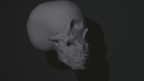 skull preview image
