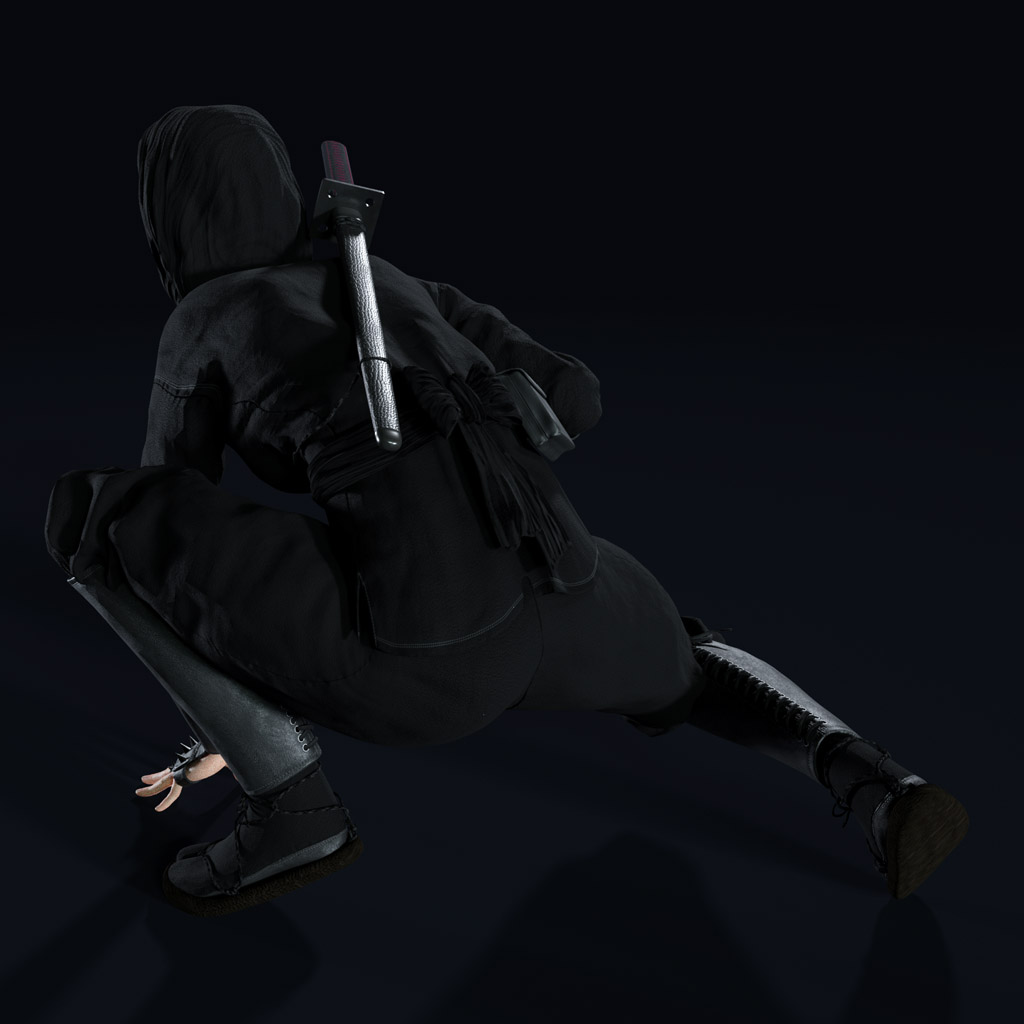 Ninja Rin Hatsu preview image 8