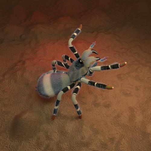 Tarantula preview image