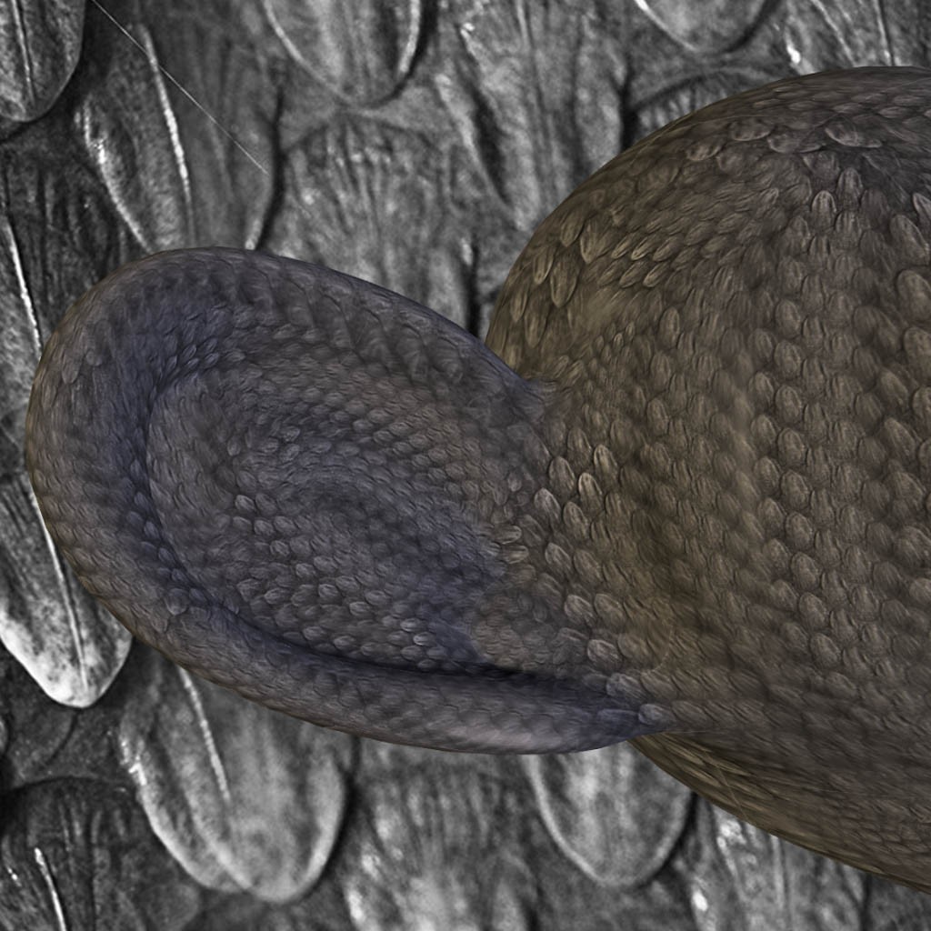 Reptile Skin Brush preview image 3