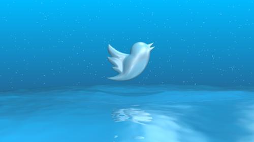 Twitter on ocean preview image