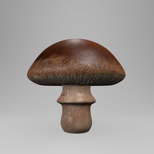 Mushroom preview image