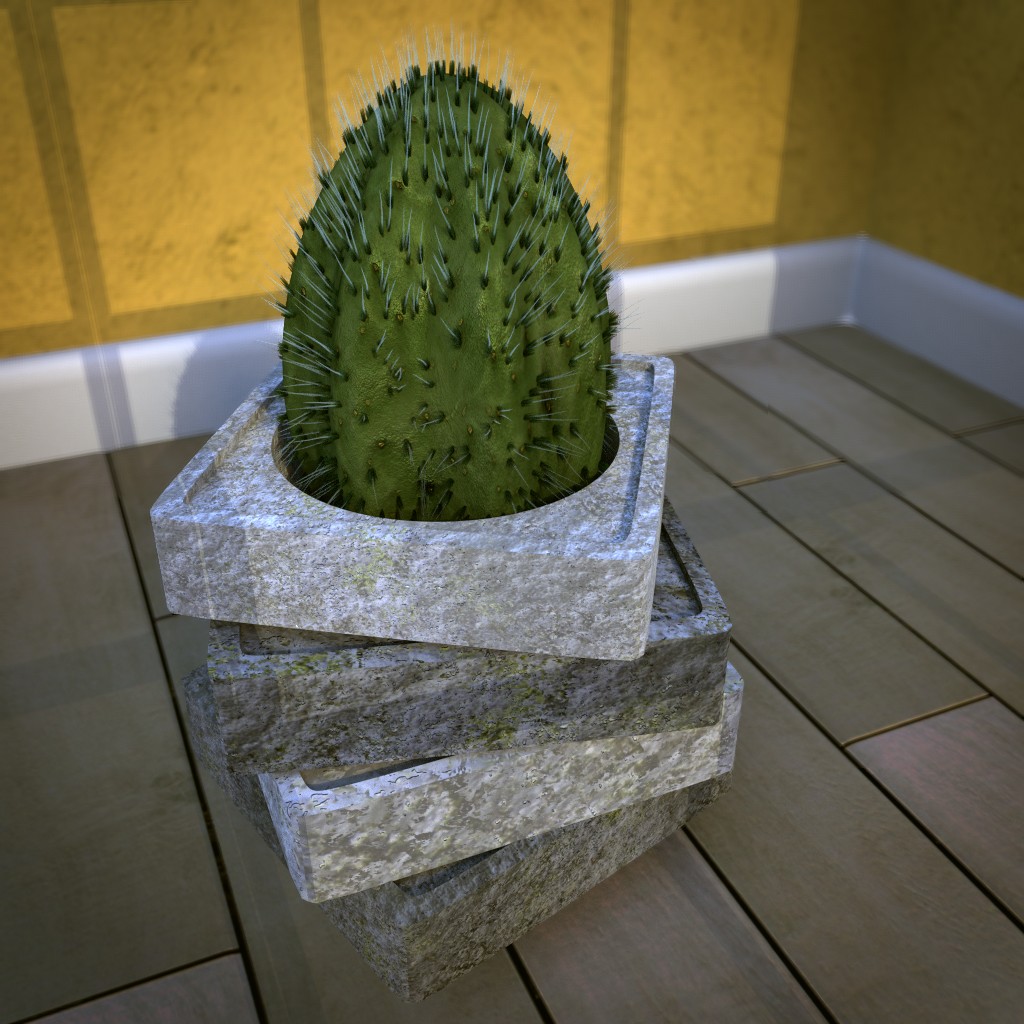 Little cactus preview image 1