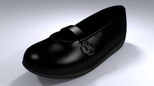 Zapato de Cuero preview image