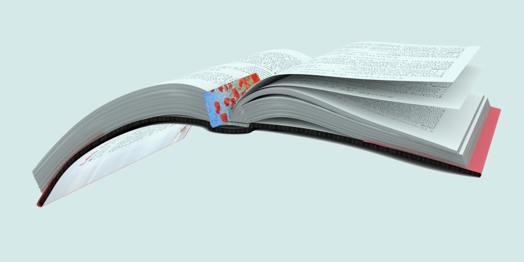 book preview image 3