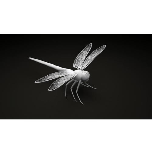Dragonfly preview image