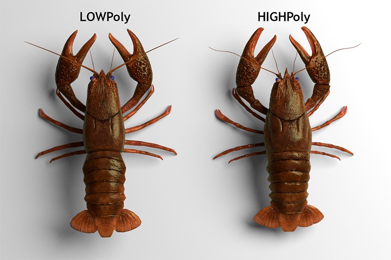 Astacus preview image 3