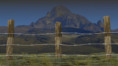 Barbed wire fence preview image