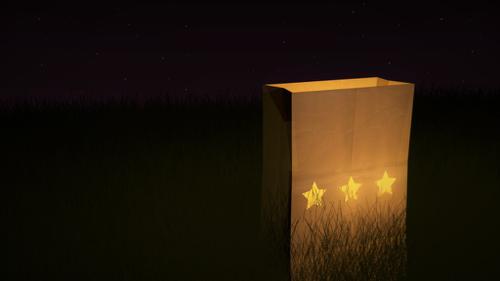 the paper bag preview image