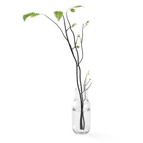 Chocofur Pot with branches preview image