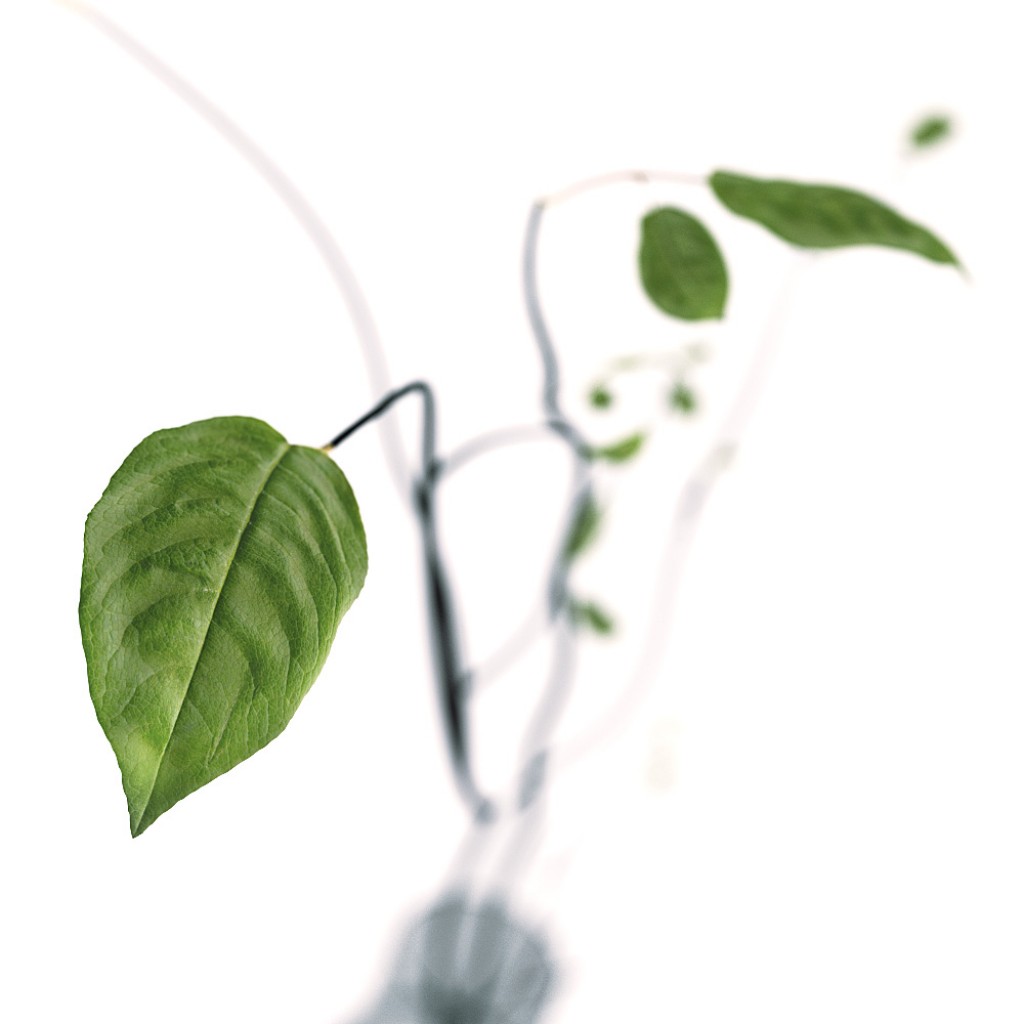 Chocofur Pot with branches preview image 2