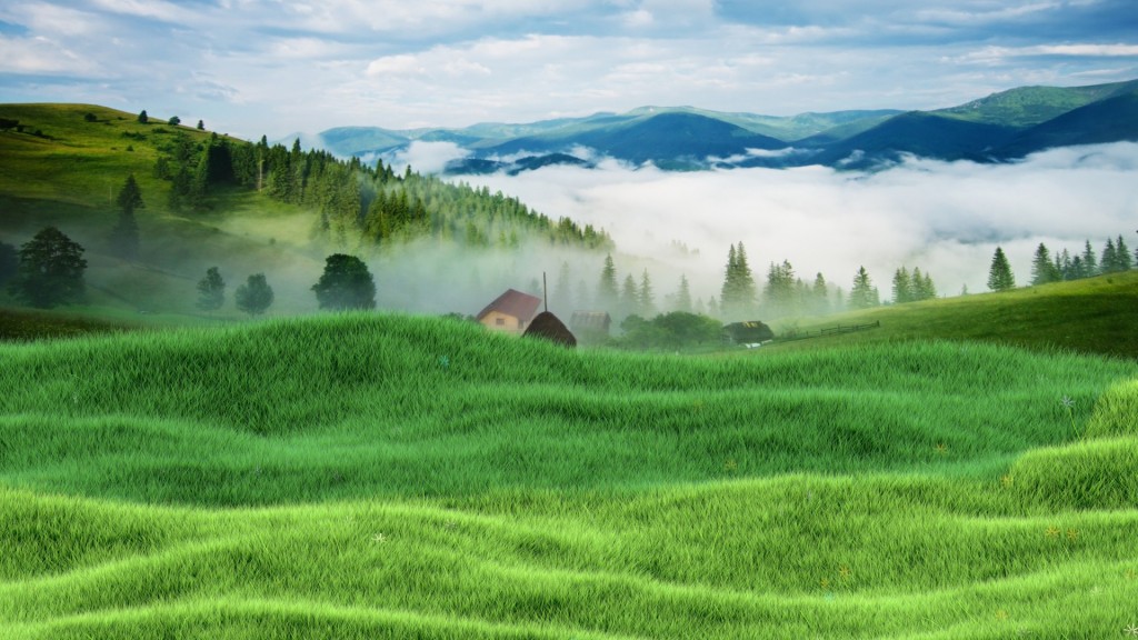 Grassy Meadow preview image 1