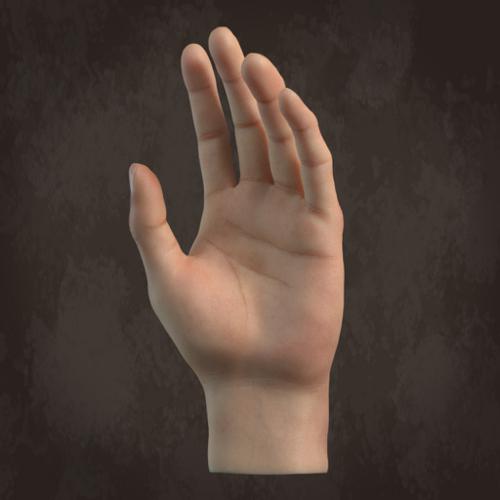 3D hand preview image