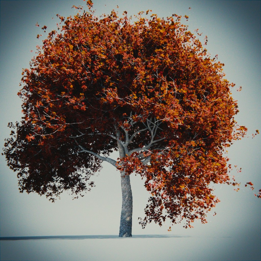 Tree, again ! preview image 3