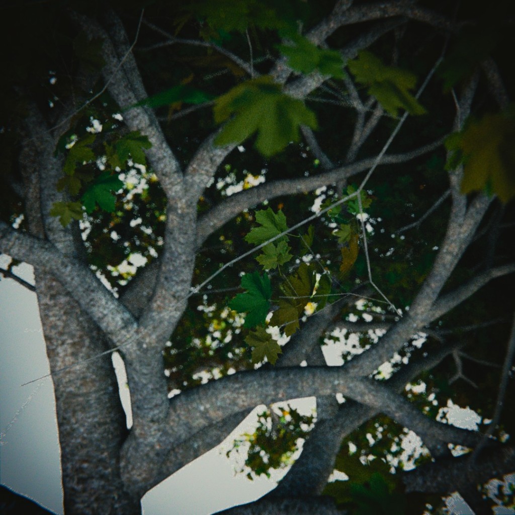 Tree, again ! preview image 4