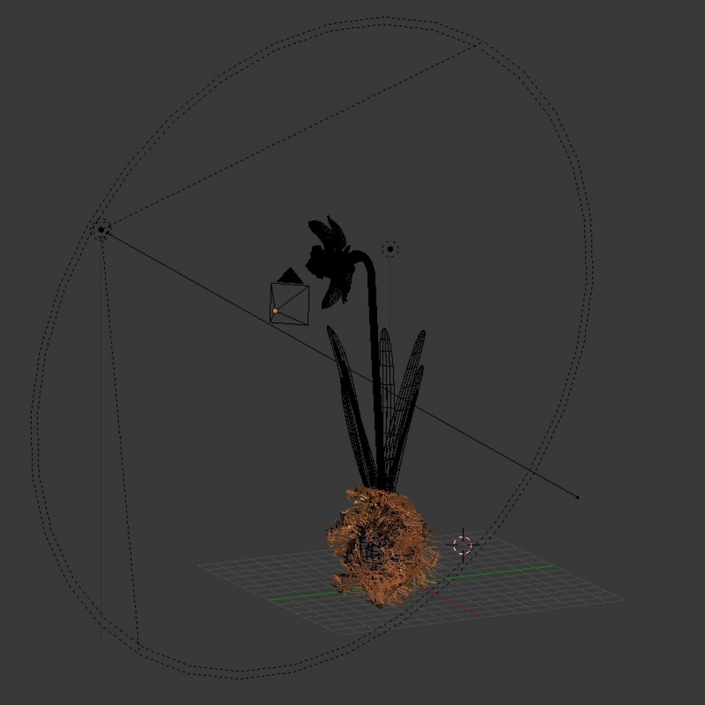 Daffodil preview image 3