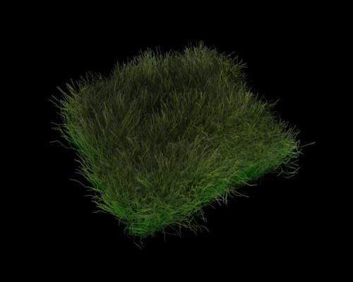 GiGaGonzo Nature Healthygrass preview image