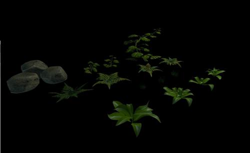 Plants and Stones preview image