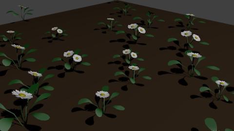 Daisy Flowers preview image