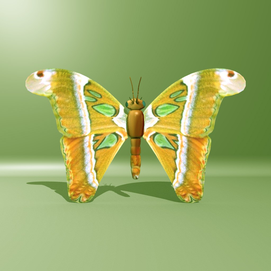 Butterfly preview image 4