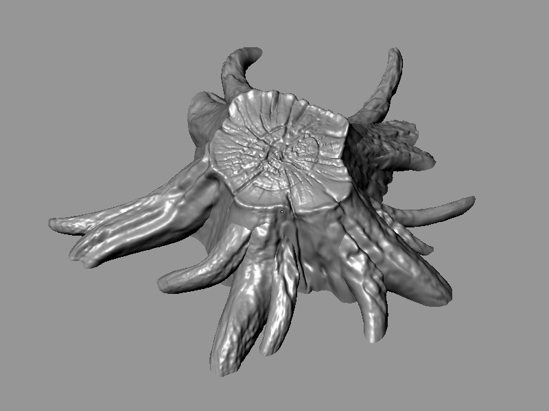 ben simonds nature chopped treestump preview image 1