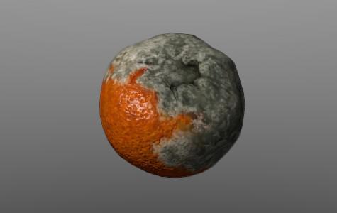 Trash Orange preview image