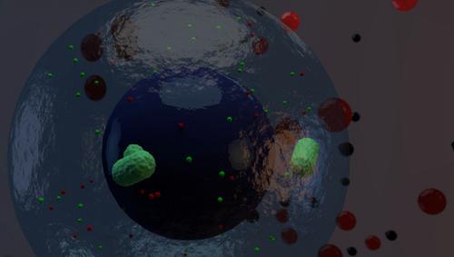  Etapas de formasao de uma hemacia preview image