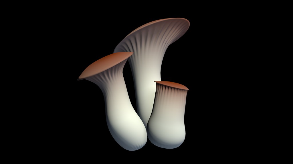 Pleurotus eryngii King trumpet mushroom preview image 1