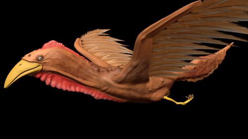 spirit creature ishtar bird preview image