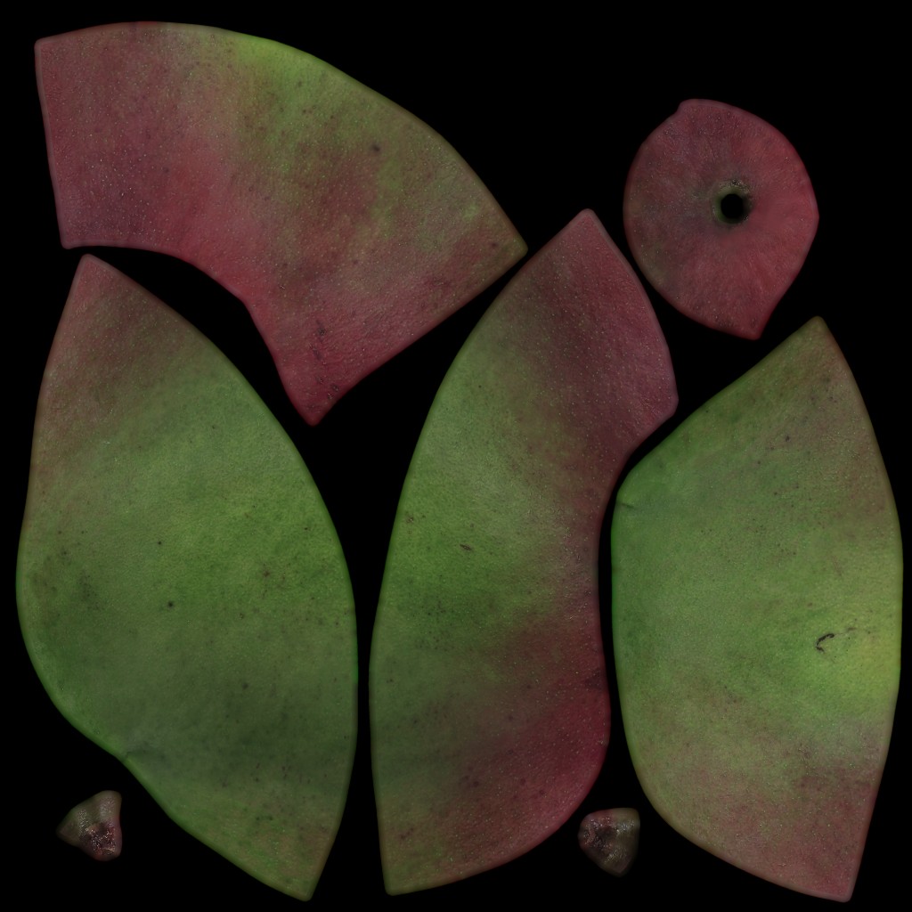 Mango Fruit preview image 3