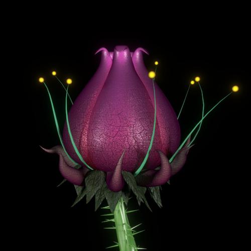 Plantera preview image