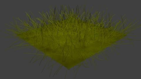 borgetti56 Nature unhealthy-grass preview image