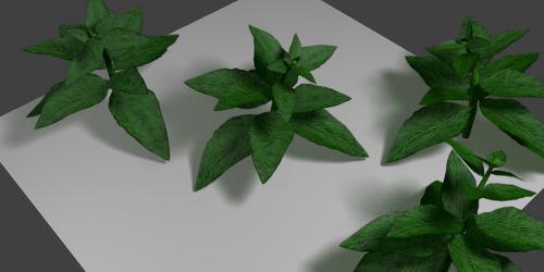 JS LinAx nature pigweed preview image