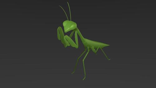 JGL praying mantis preview image