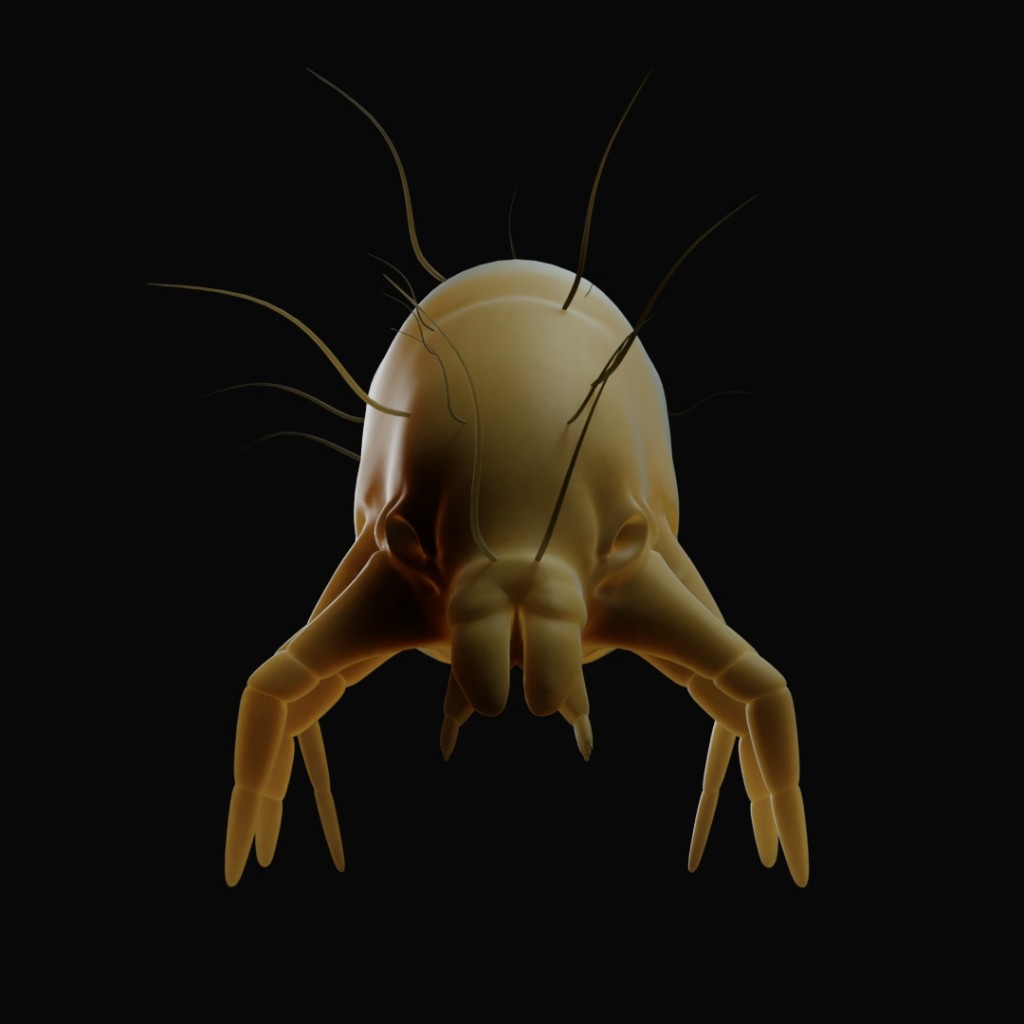 Acarus 3D Model preview image 2