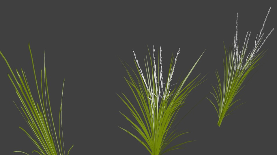 Rice Crop preview image 3