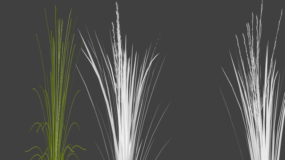 Rice Crop preview image 4