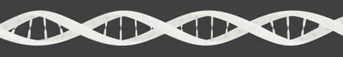 DNA Strand preview image