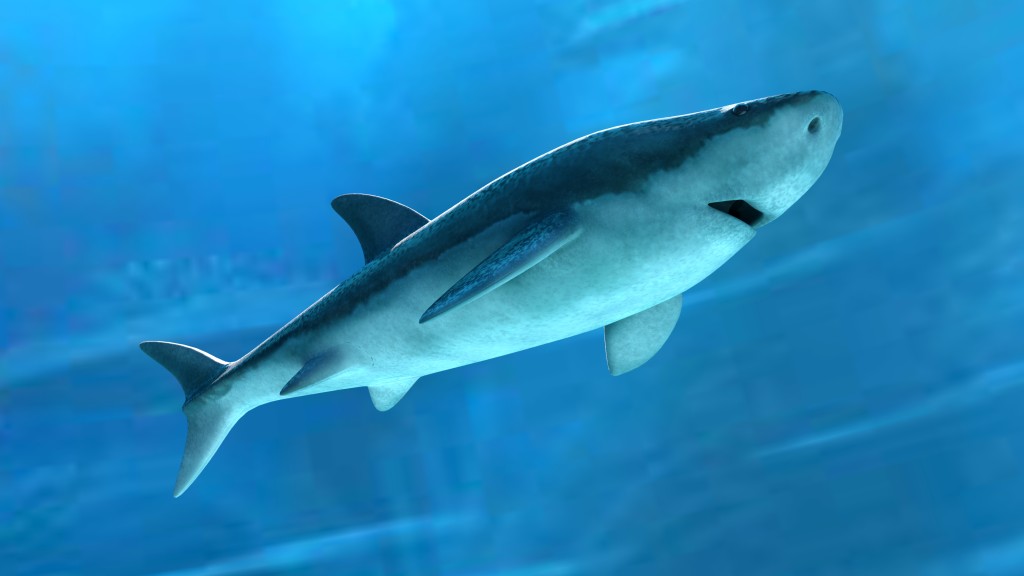 Shark v.1.0 preview image 1