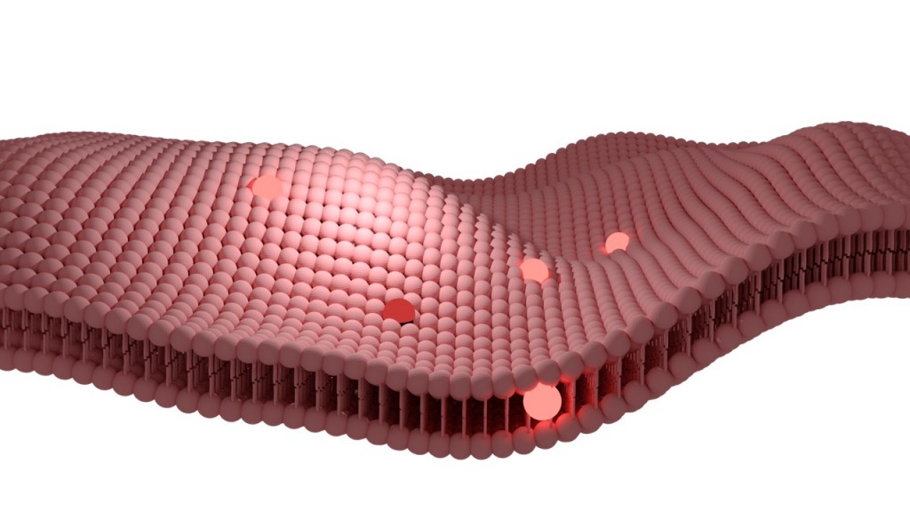 Liposome preview image 1