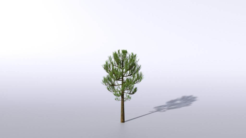 Tree preview image 5