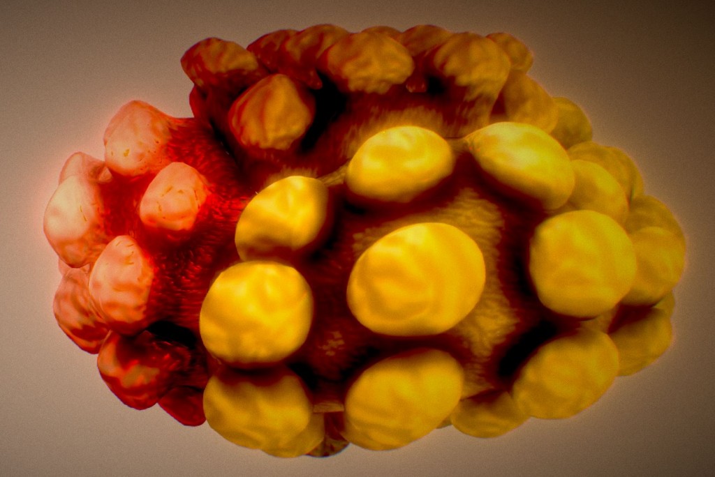 Mutating Cube (Shape Key Animation) preview image 7
