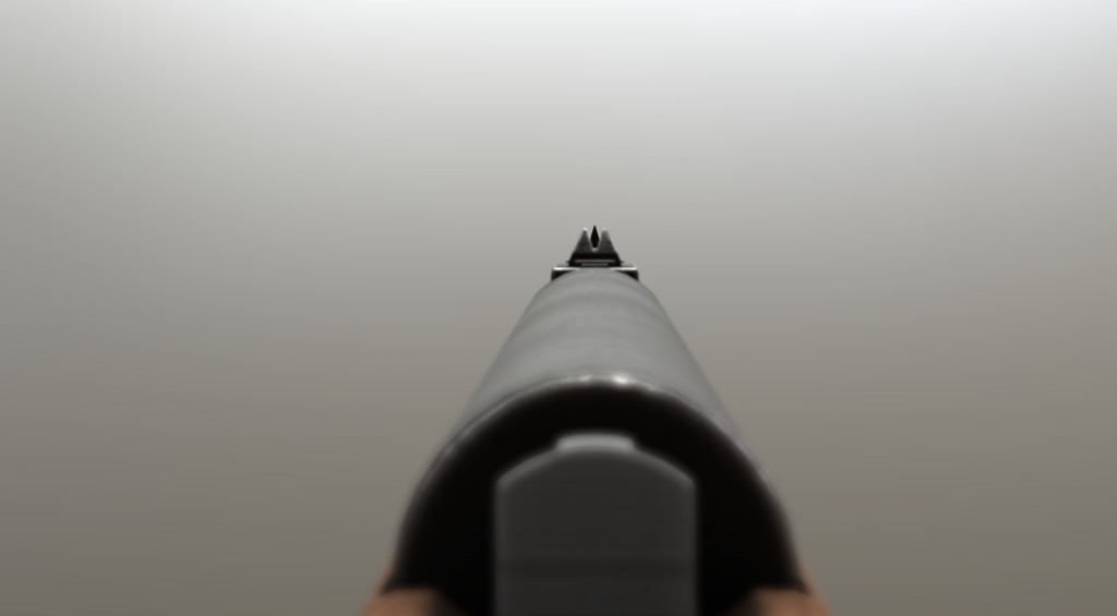 Airgun Haenel Model III-56 preview image 4