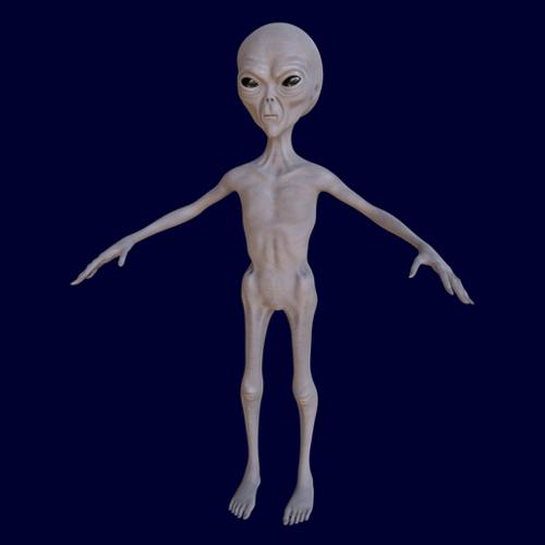 Grey Alien Rigged preview image