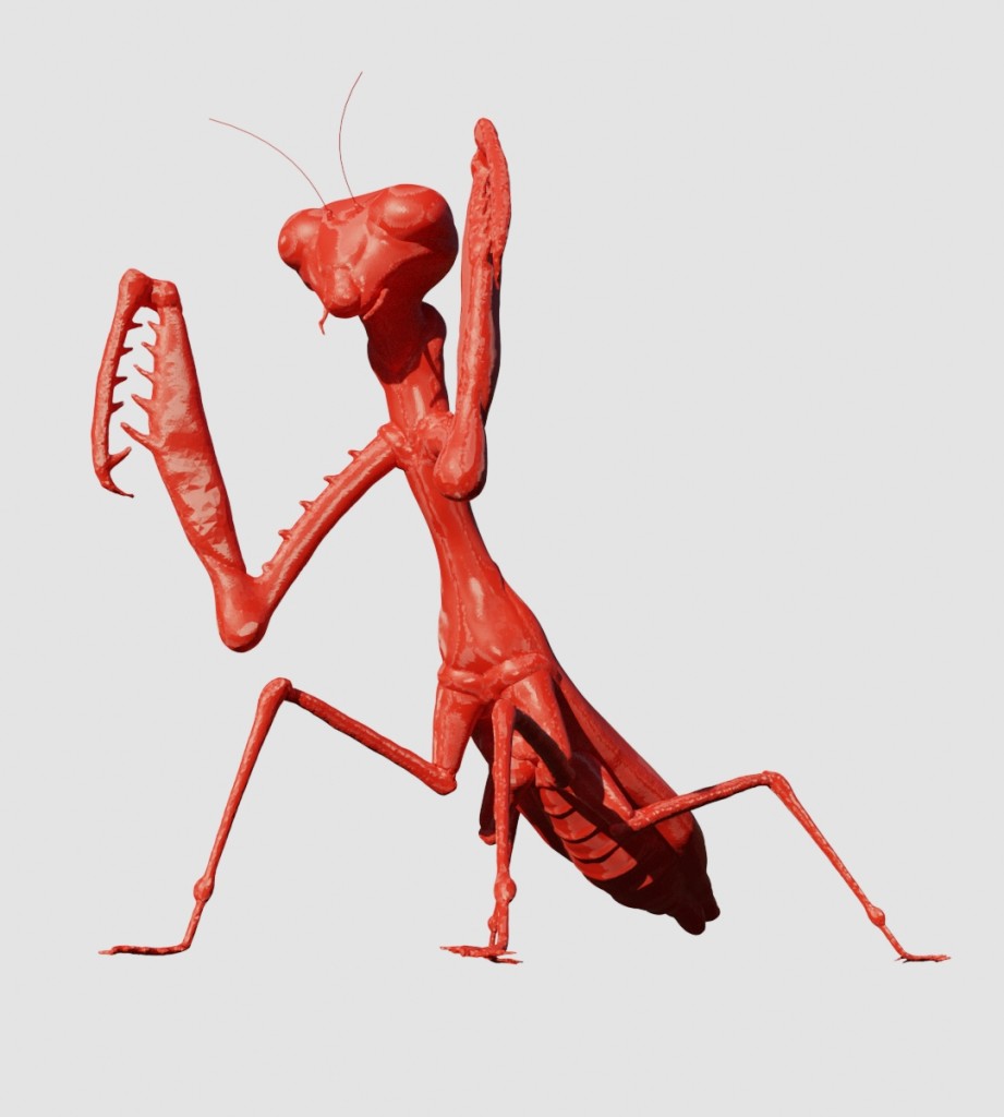 Praying Mantis preview image 2