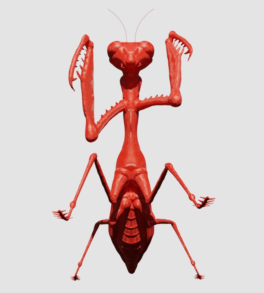 Praying Mantis preview image 3