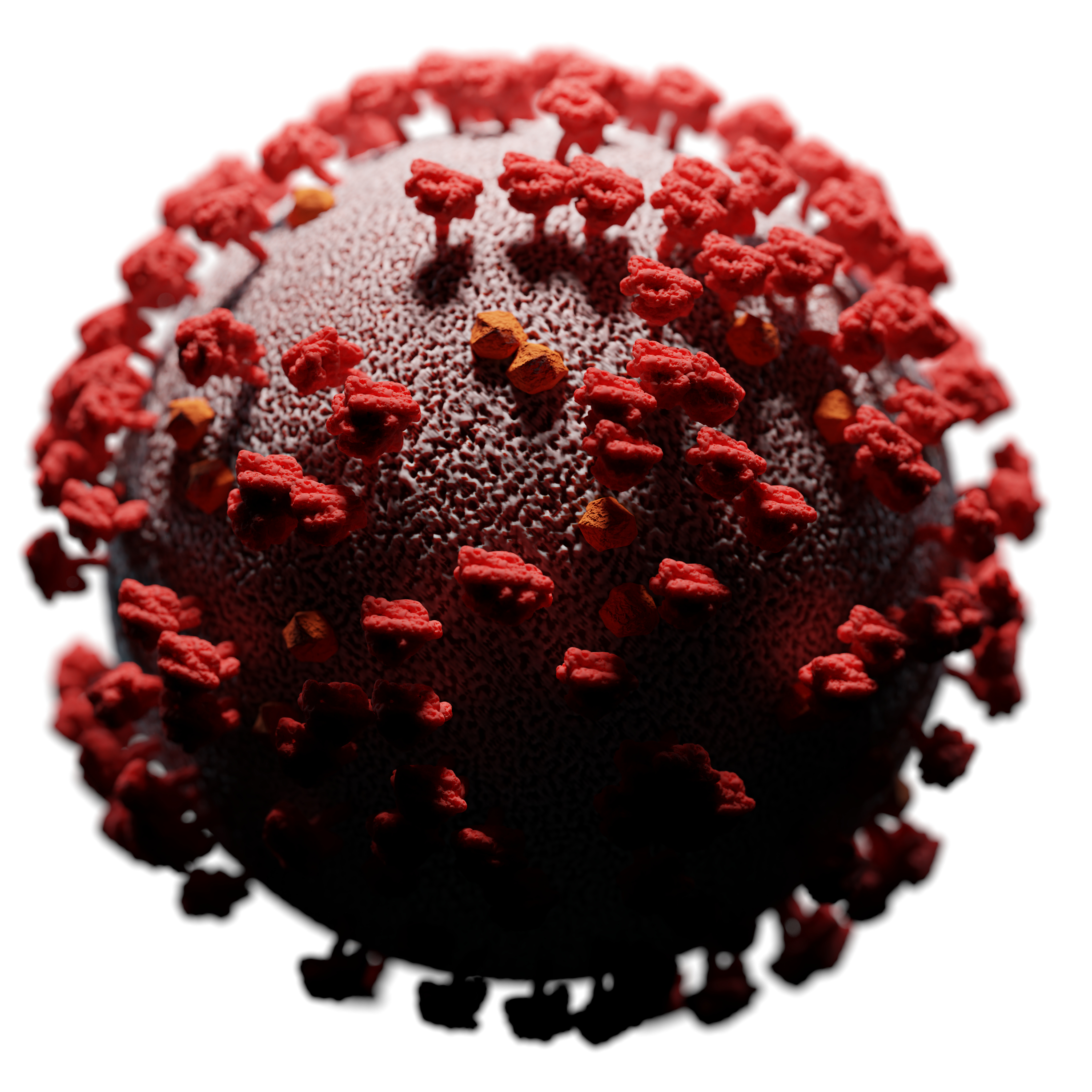 COVID-19 preview image 1