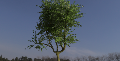 photo realistic tree  preview image